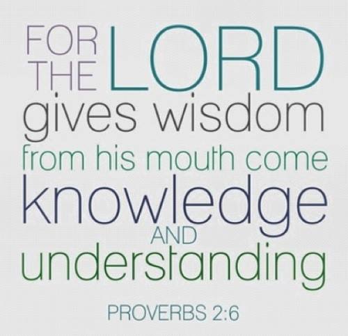 Don't lean on your own understanding. Seek wisdom from the Lord!
