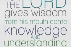 Don't lean on your own understanding. Seek wisdom from the Lord!