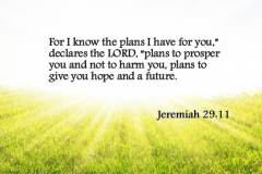 In Life, it is important to understand that the LORD knows what is best for His Children and will give us exactly what we need to survive in life; and not just what we want. He knows it all and knows what's best for you. Trust in Him always and He will take care of you, Amen!